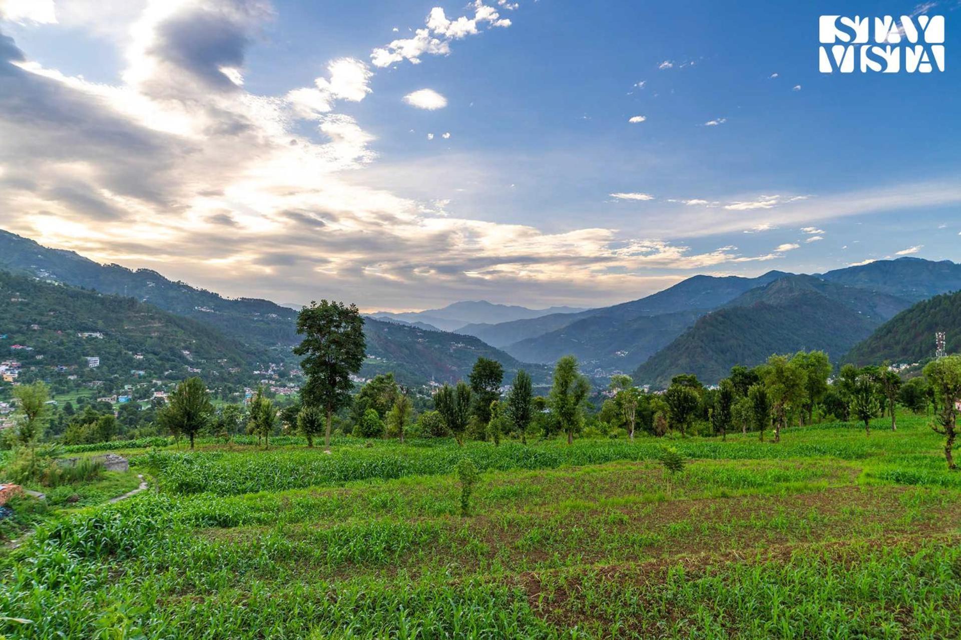 Stayvista At The Oakridge 4 Bhk Villa In Dharamshala With Jacuzzi & Balcony Chamba (Himachal Pradesh) Exteriör bild